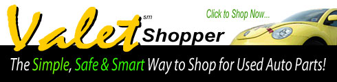 The Automotian Valet Shopper - Automotive Starts Here In North Carolina.